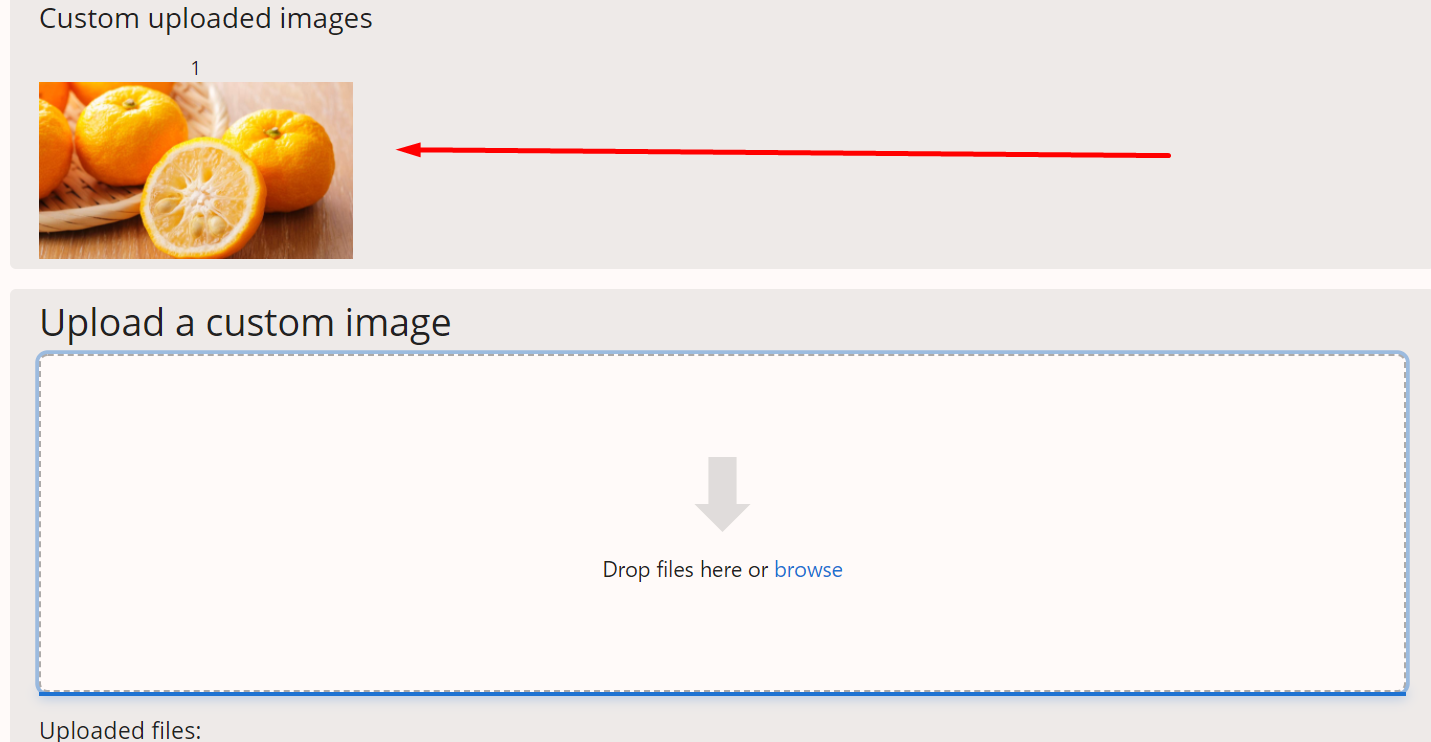 Click to enlarge - Your custom uploaded image will appear above the upload form.